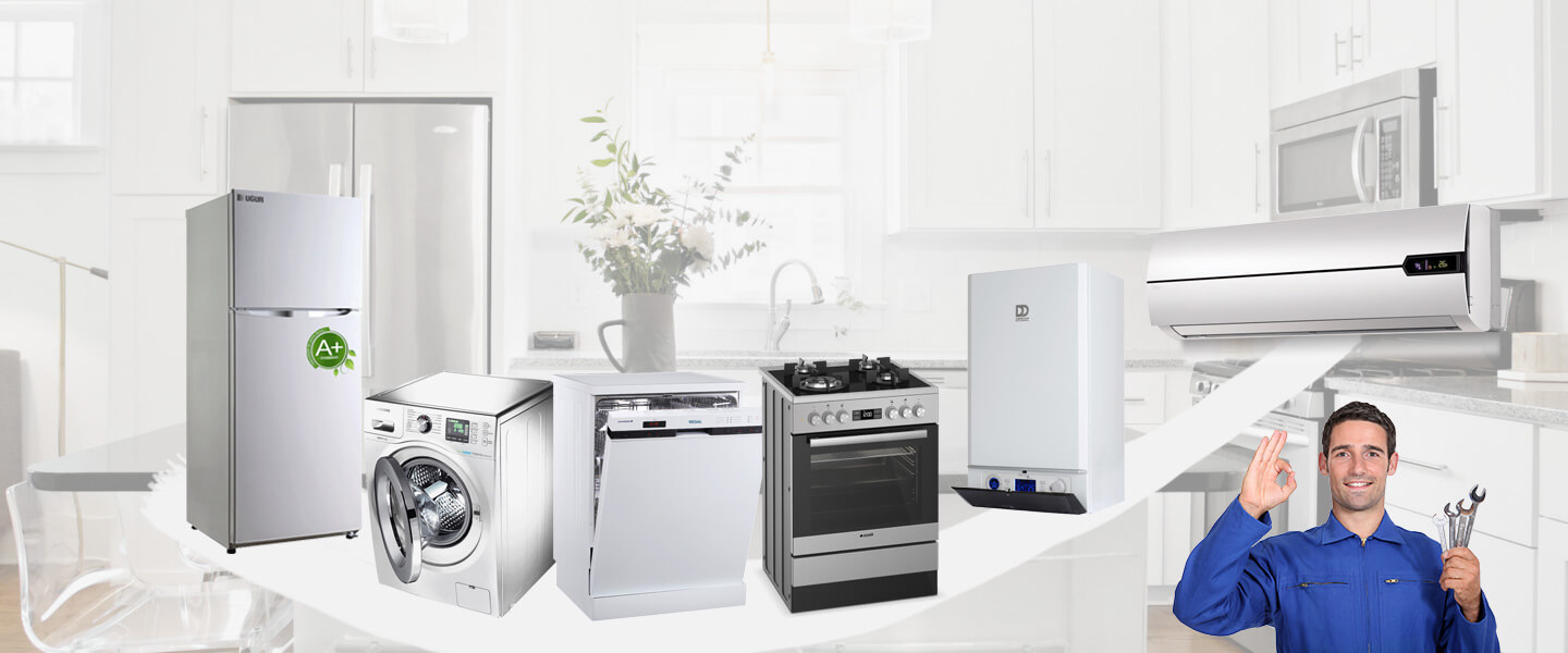 Bodrum Daikin Servisi